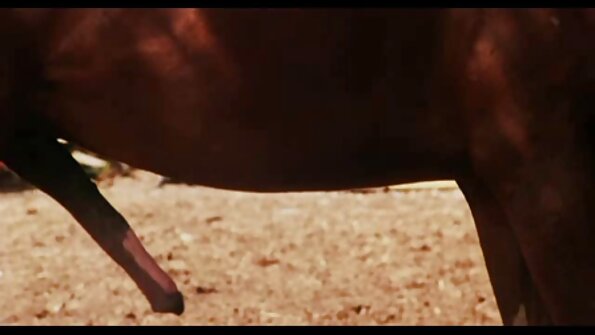 ഒരേസമയം മൂന്ന് കാമഭ്രാന്തന്മാരെ എങ്ങനെ സന്തോഷിപ്പിക്കാമെന്ന് ബാർബി സിൻസിന് അറിയാം